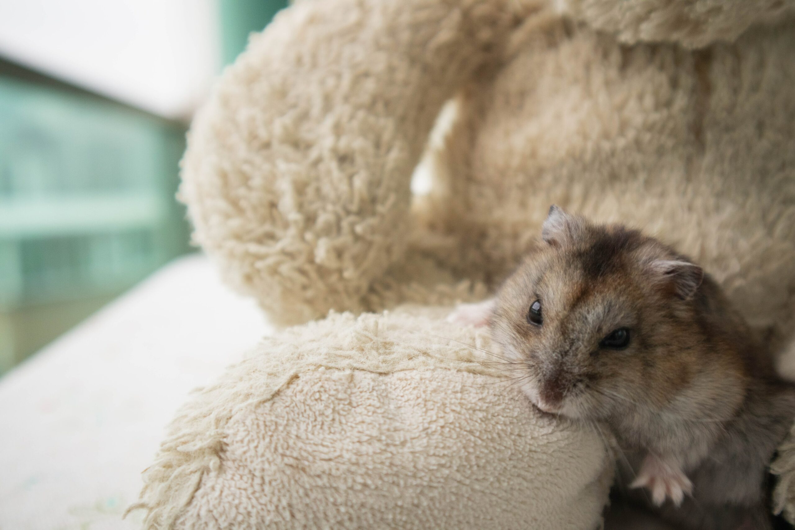 Will my hamster bite me if I pick it up?